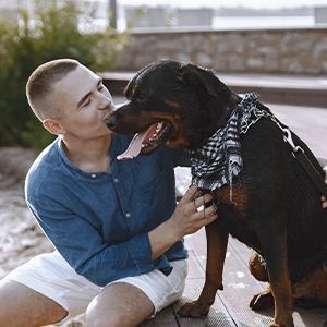 mężczyzna całuje rottwailera w nosek - to czy pies będzie agresywny zależy w dużej mierze od jego właściciela
