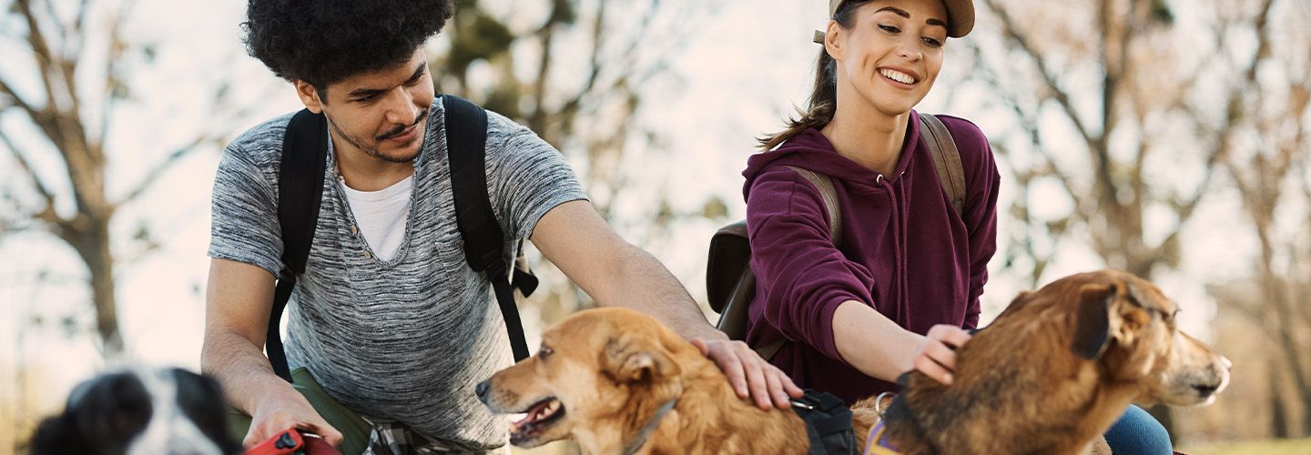 : Para w czasie spaceru z psami ze schroniska zastanawia się, którego psa wybrać do adopcji